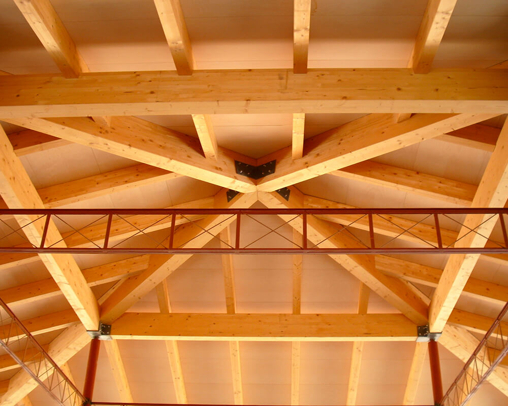 Estructuras de madera - La Monacilla 4